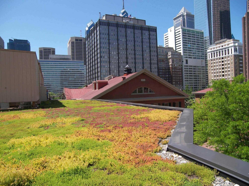 paysagiste-MANDELIEU LA NAPOULE-min_green-roof-portfolio-4